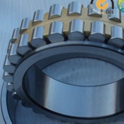NSK GCR-15 P5 P4 Двухрядный роликовый подшипник NN3009MBKR для буровых машин
